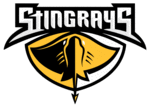 Stingrays Image-large